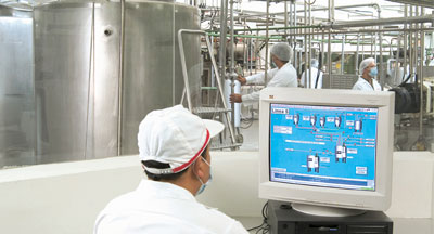 Planta-de-margarinas